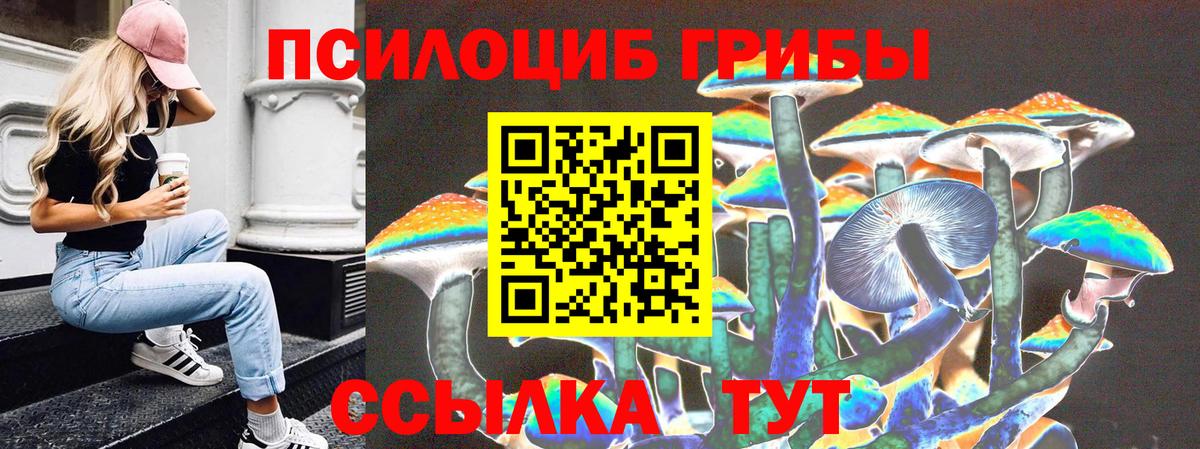 купить наркотик  Вход с VPN  Сыктывкар  Псилоцибиновые грибы Magic Shrooms 
